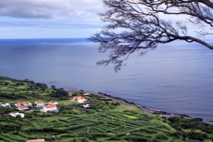 North Coast of Faial Island